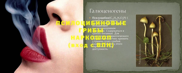 бутират Лагань