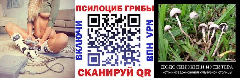 Псилоцибиновые грибы Psilocybe Обнинск
